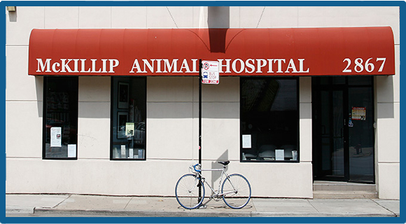 About McKillip Animal Hospital